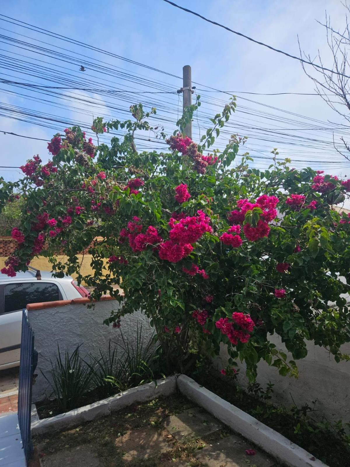 Casa De Temporada Em Figueira - - Casa 5